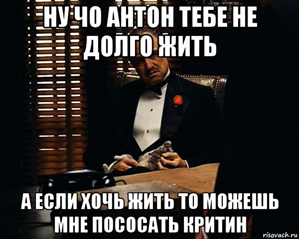 ну чо антон тебе не долго жить а если хочь жить то можешь мне пососать критин, Мем Дон Вито Корлеоне