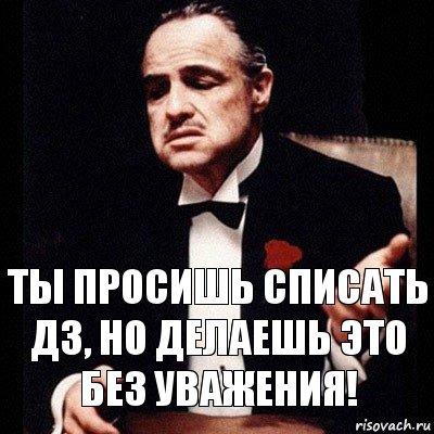 Ты просишь списать дз, но делаешь это без уважения!