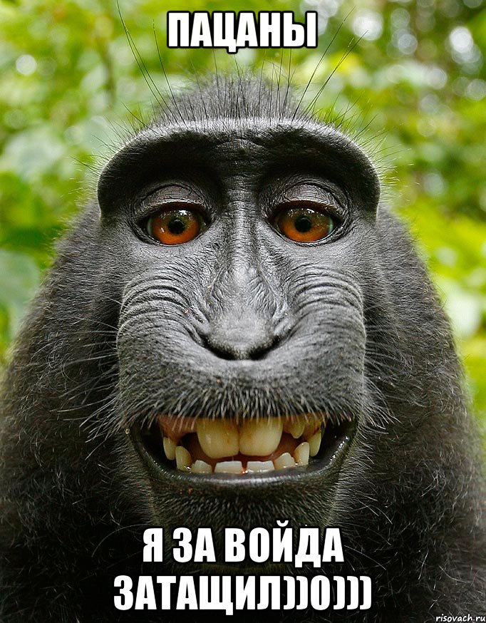 пацаны я за войда затащил))0))), Мем  Довольная обезьяна