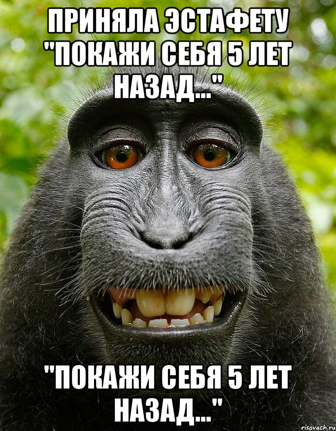 приняла эстафету "покажи себя 5 лет назад..." "покажи себя 5 лет назад...", Мем  Довольная обезьяна