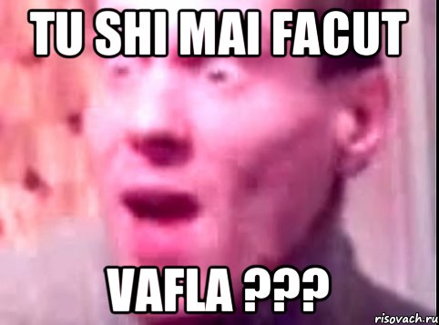 tu shi mai facut vafla ???, Мем Дверь мне запили