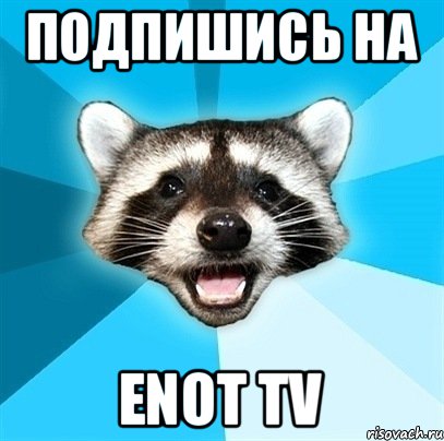 ПОДПИШИСЬ НА ENOT TV, Мем Енот-Каламбурист