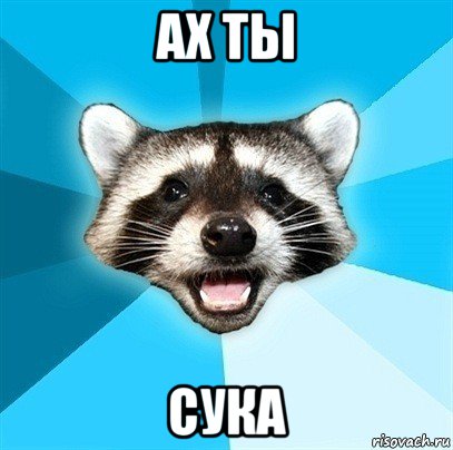 ах ты сука