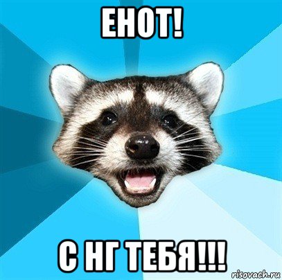 енот! с нг тебя!!!