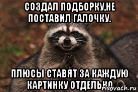 создал подборку,не поставил галочку. плюсы ставят за каждую картинку отдельно, Мем  Хитрый енот