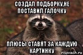 создал подборку,не поставил галочку плюсы ставят за каждую картинку, Мем  Хитрый енот