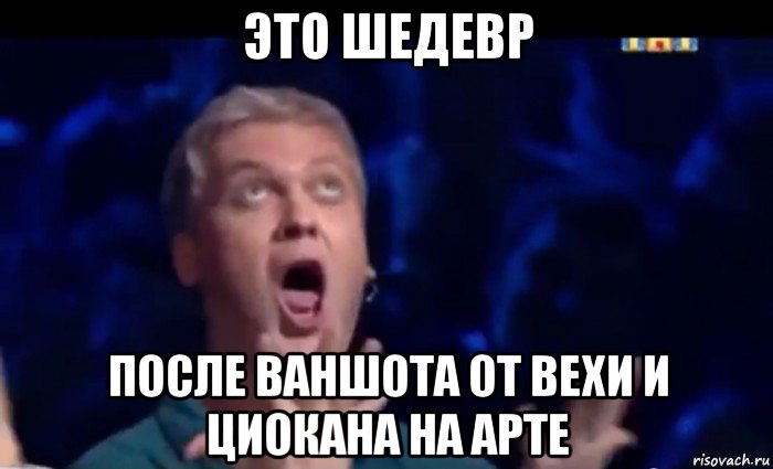 это шедевр после ваншота от вехи и циокана на арте, Мем  Это ШЕДЕВР