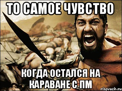 То самое чувство Когда остался на караване с ПМ, Мем Это Спарта