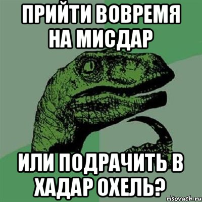 Прийти вовремя на мисдар или подрачить в хадар охель?, Мем Филосораптор