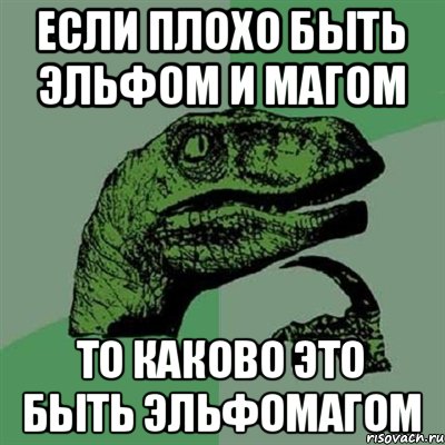 Если плохо быть эльфом и магом То каково это быть эльфомагом, Мем Филосораптор