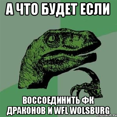 а что будет если воссоединить Фк Драконов и Wfl Wolsburg, Мем Филосораптор