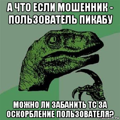 а что если мошенник - пользователь пикабу можно ли забанить тс за оскорбление пользователя?, Мем Филосораптор