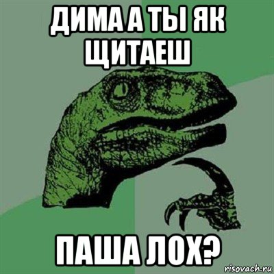 дима а ты як щитаеш паша лох?, Мем Филосораптор