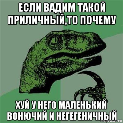 если вадим такой приличный,то почему хуй у него маленький вонючий и негегеничный, Мем Филосораптор