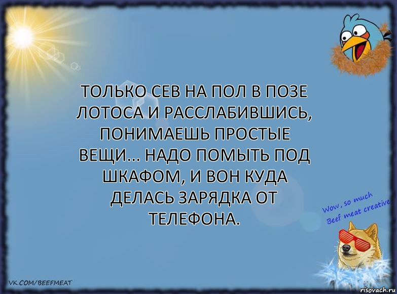 Только сев на пол в позе лотоса и расслабившись, понимаешь простые вещи... надо помыть под шкафом, и вон куда делась зарядка от телефона.