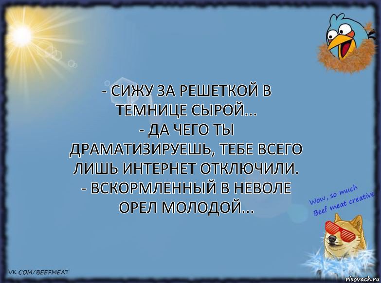 - Сижу за решеткой в темнице сырой...
- Да чего ты драматизируешь, тебе всего лишь интернет отключили.
- Вскормленный в неволе орел молодой...