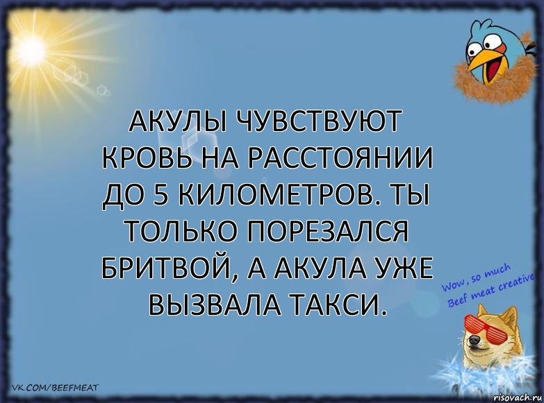 Акулы чувствуют кровь на расстоянии до 5 километров. Ты только порезался бритвой, а акула уже вызвала такси., Комикс ФОН