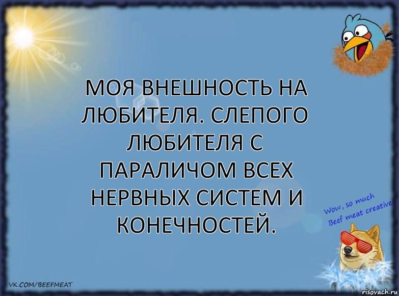 Моя внешность на любителя. Слепого любителя с параличом всех нервных систем и конечностей.