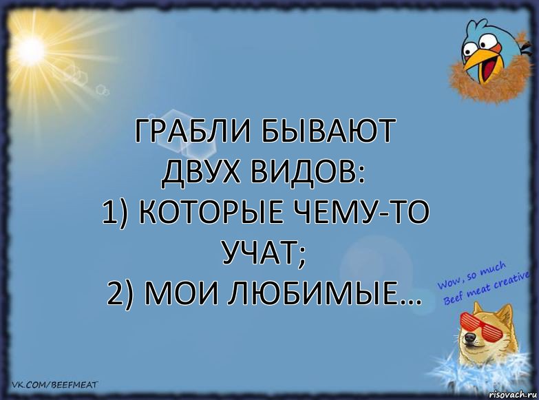 Грабли бывают двух видов:
1) которые чему-то учат;
2) мои любимые…, Комикс ФОН