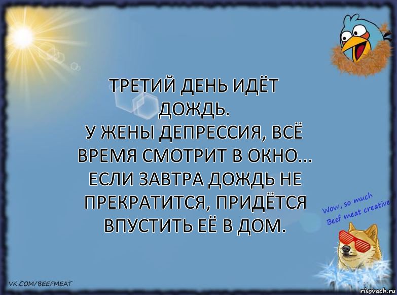 Третий день идёт дождь.
У жены депрессия, всё время смотрит в окно... Если завтра дождь не прекратится, придётся впустить её в дом., Комикс ФОН