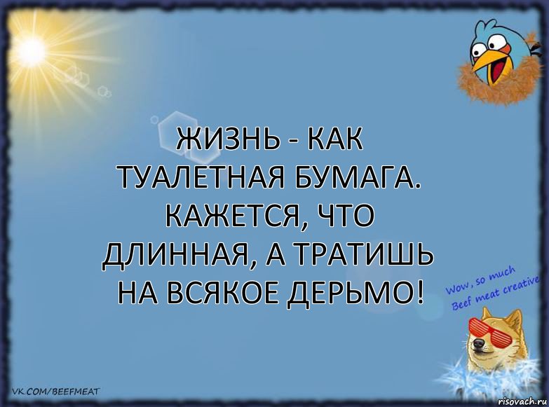 Жизнь - как туалетная бумага. Кажется, что длинная, а тратишь на всякое дерьмо!, Комикс ФОН