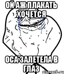 Ой аж плакать хочется Оса залетела в глаз, Мем Forever Alone