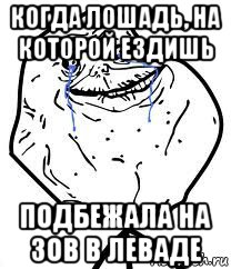 когда лошадь, на которой ездишь подбежала на зов в леваде, Мем Forever Alone