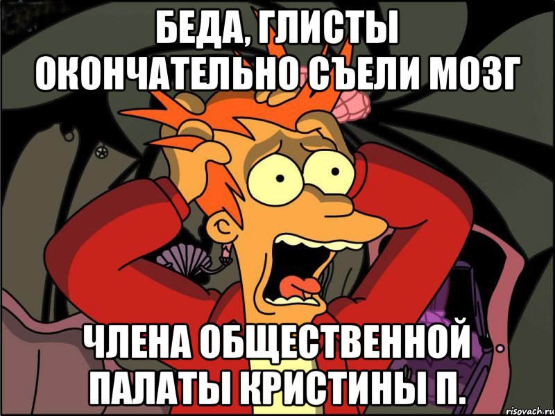 беда, глисты окончательно съели мозг члена общественной палаты кристины п., Мем Фрай в панике