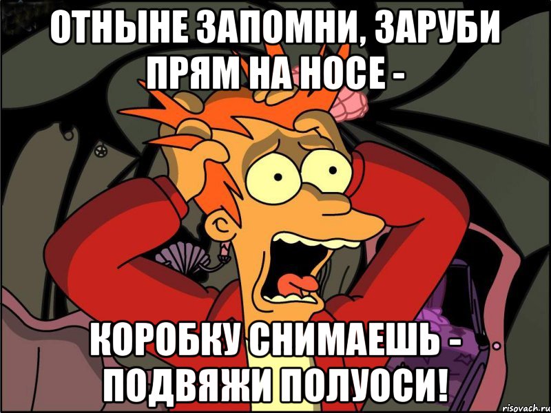 Отныне запомни, заруби прям на носе - Коробку снимаешь - подвяжи полуоси!, Мем Фрай в панике