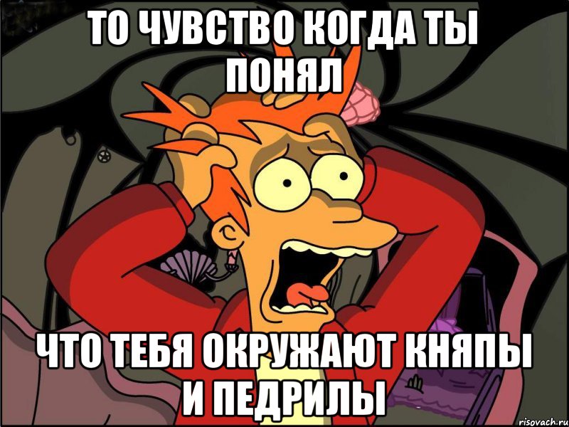 то чувство когда ты понял что тебя окружают княпы и педрилы, Мем Фрай в панике