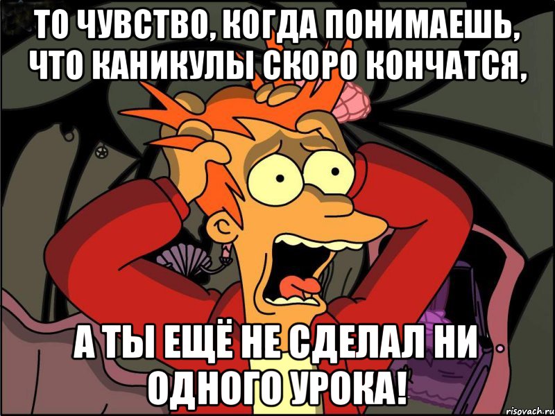 то чувство, когда понимаешь, что каникулы скоро кончатся, а ты ещё не сделал ни одного урока!