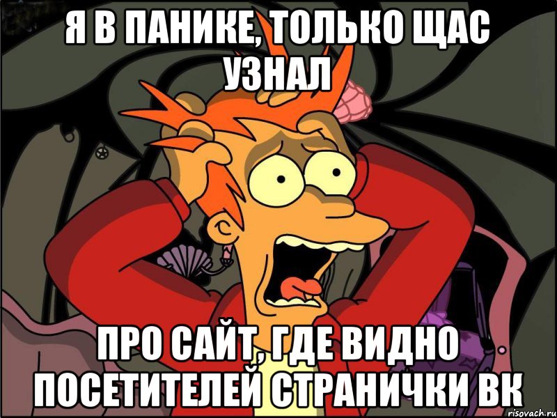 Я в панике, только щас узнал про сайт, где видно посетителей странички ВК, Мем Фрай в панике