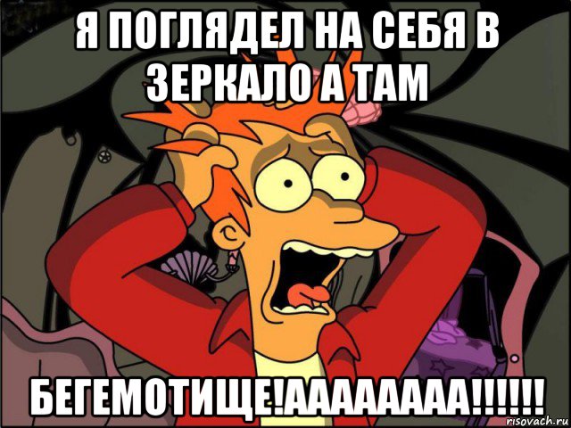 я поглядел на себя в зеркало а там бегемотище!аааааааа!!!!!!, Мем Фрай в панике