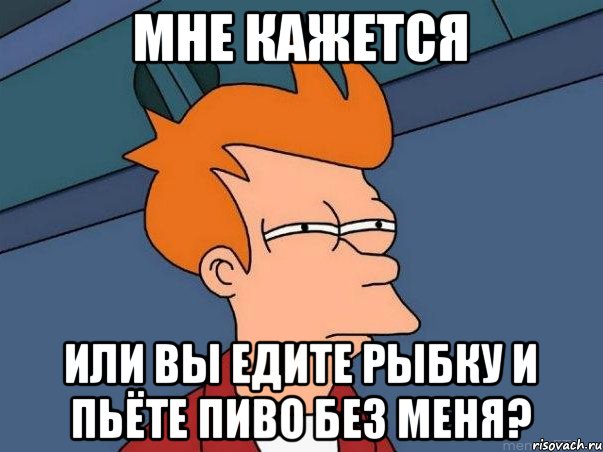 мне кажется или вы едите рыбку и пьёте пиво без меня?, Мем  Фрай (мне кажется или)