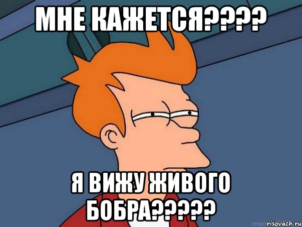 МНЕ КАЖЕТСЯ???? Я ВИЖУ ЖИВОГО БОБРА?????, Мем  Фрай (мне кажется или)