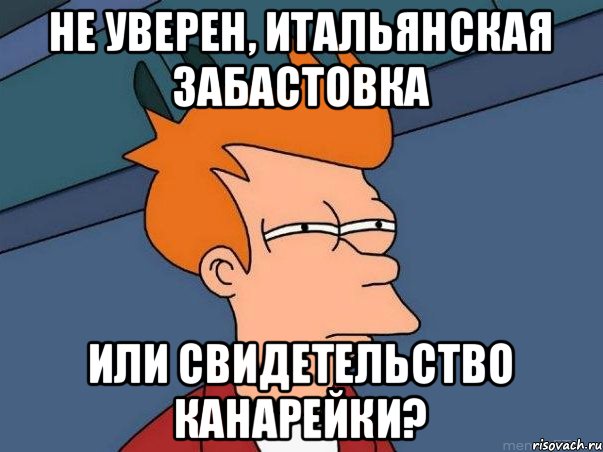 не уверен, итальянская забастовка или свидетельство канарейки?, Мем  Фрай (мне кажется или)