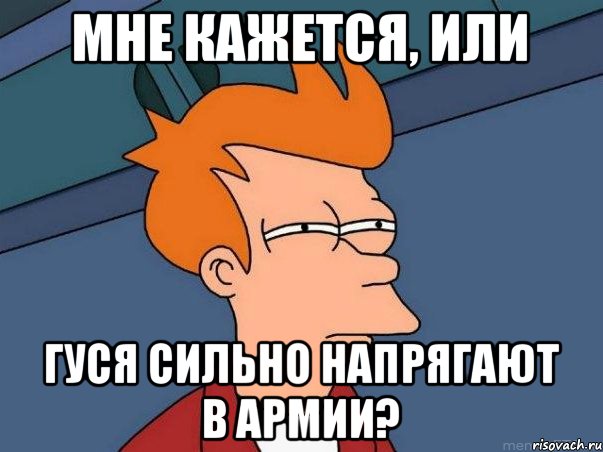 Мне кажется, или Гуся сильно напрягают в армии?, Мем  Фрай (мне кажется или)