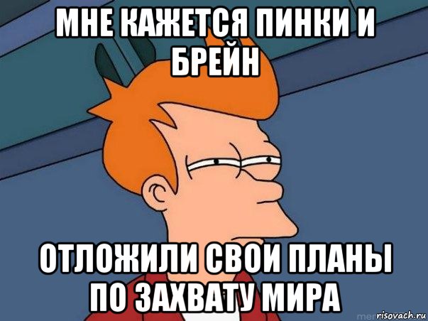 мне кажется пинки и брейн отложили свои планы по захвату мира, Мем  Фрай (мне кажется или)