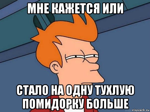 Мне кажется или Стало На одну тухлую помидорку больше, Мем  Фрай (мне кажется или)