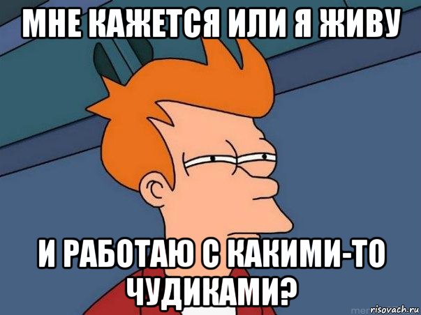 МНЕ КАЖЕТСЯ ИЛИ Я ЖИВУ И РАБОТАЮ С КАКИМИ-ТО ЧУДИКАМИ?, Мем  Фрай (мне кажется или)