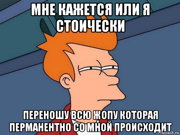 мне кажется или я стоически переношу всю жопу которая перманентно со мной происходит, Мем  Фрай (мне кажется или)