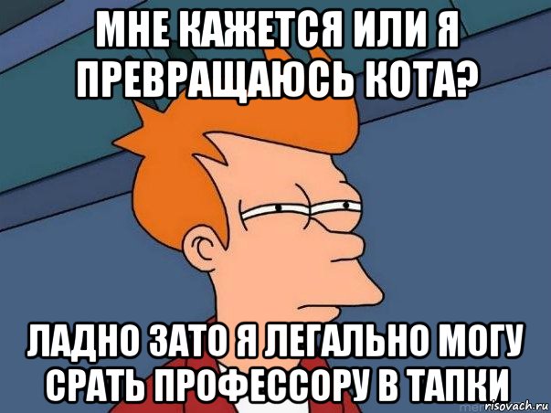 мне кажется или я превращаюсь кота? ладно зато я легально могу срать профессору в тапки, Мем  Фрай (мне кажется или)