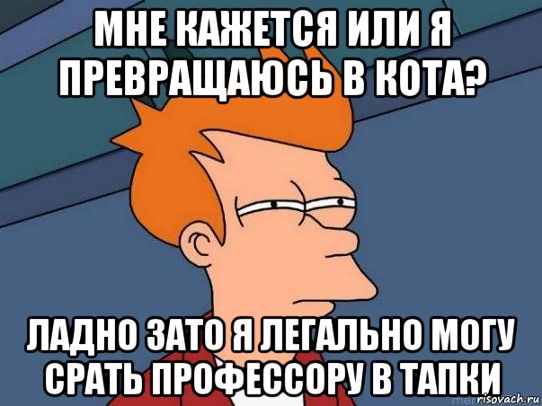 мне кажется или я превращаюсь в кота? ладно зато я легально могу срать профессору в тапки, Мем  Фрай (мне кажется или)