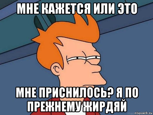 мне кажется или это мне приснилось? я по прежнему жирдяй, Мем  Фрай (мне кажется или)