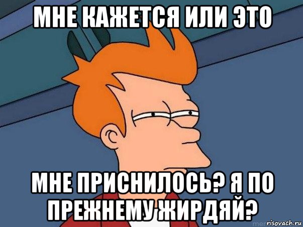 мне кажется или это мне приснилось? я по прежнему жирдяй?, Мем  Фрай (мне кажется или)