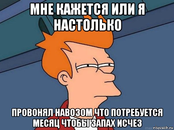 мне кажется или я настолько провонял навозом что потребуется месяц чтобы запах исчез, Мем  Фрай (мне кажется или)