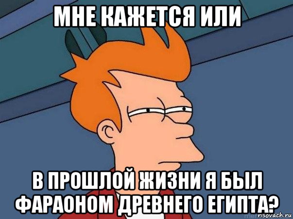 мне кажется или в прошлой жизни я был фараоном древнего египта?, Мем  Фрай (мне кажется или)