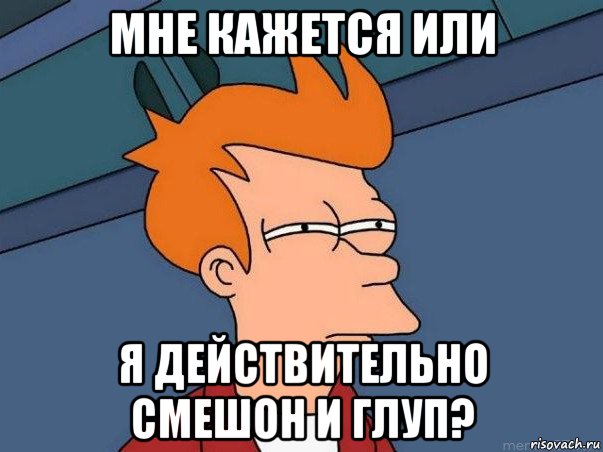 мне кажется или я действительно смешон и глуп?, Мем  Фрай (мне кажется или)