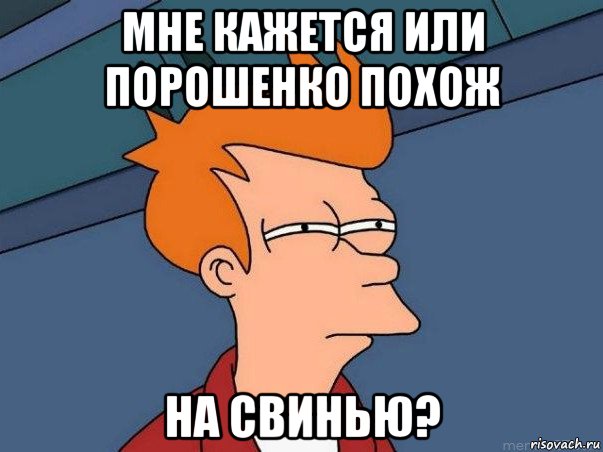 мне кажется или порошенко похож на свинью?, Мем  Фрай (мне кажется или)