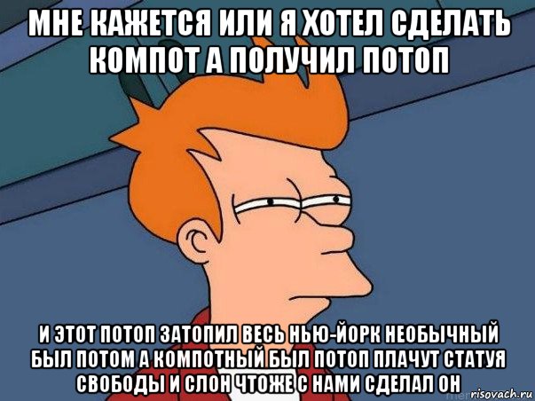 мне кажется или я хотел сделать компот а получил потоп и этот потоп затопил весь нью-йорк необычный был потом а компотный был потоп плачут статуя свободы и слон чтоже с нами сделал он, Мем  Фрай (мне кажется или)